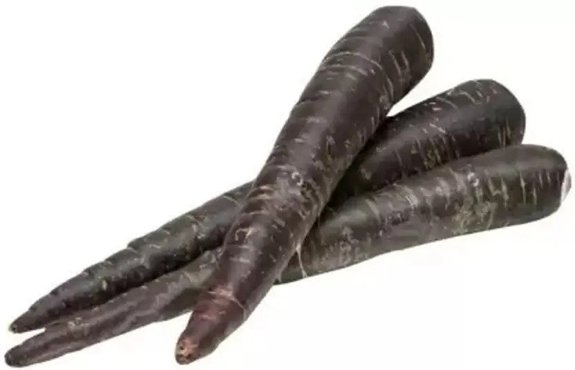 Black Carrot/Kali Gajar Vegetable Seeds | Winter Season Seeds | Best For Home Garden & Terrace